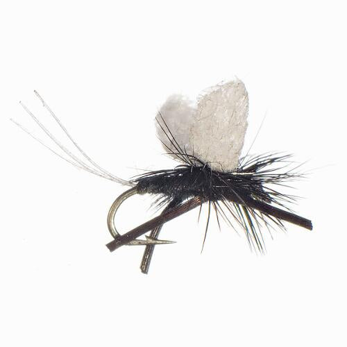 Trico - BLACK - Hook Size #20