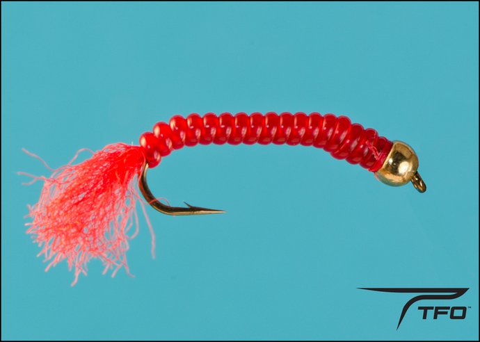 TFO - Bead Head San Juan Worm