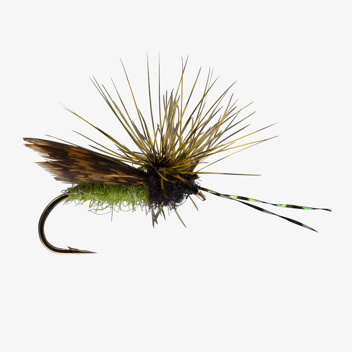 Hen Wing Caddis - Olive