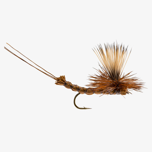 RIO - Para Drake - Hook Size #12