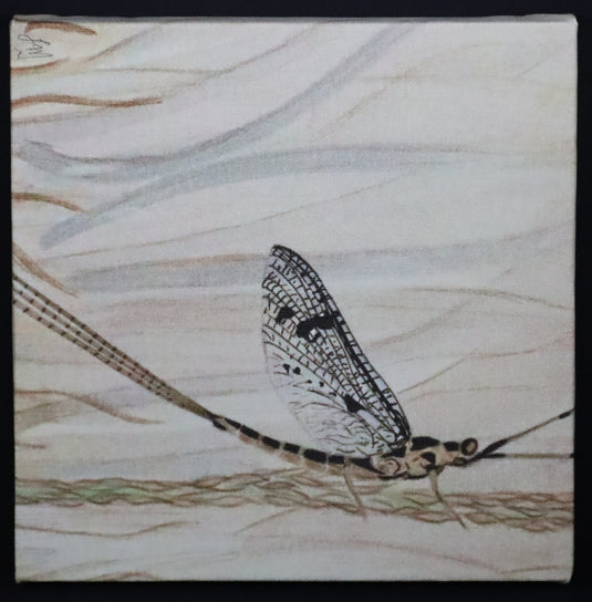 Trout tracks Art - #2 - Mayfly