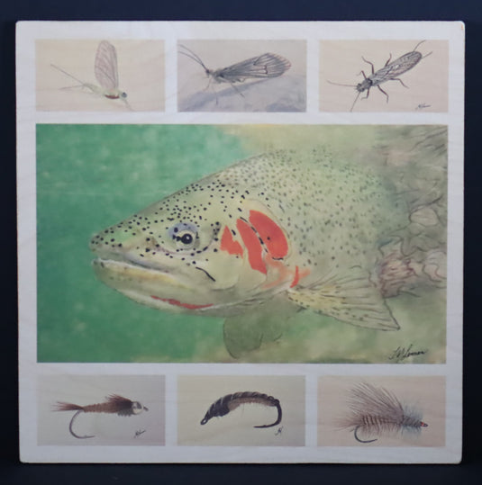 Trout Tracks Art - #3 - Cutthroat and Friends