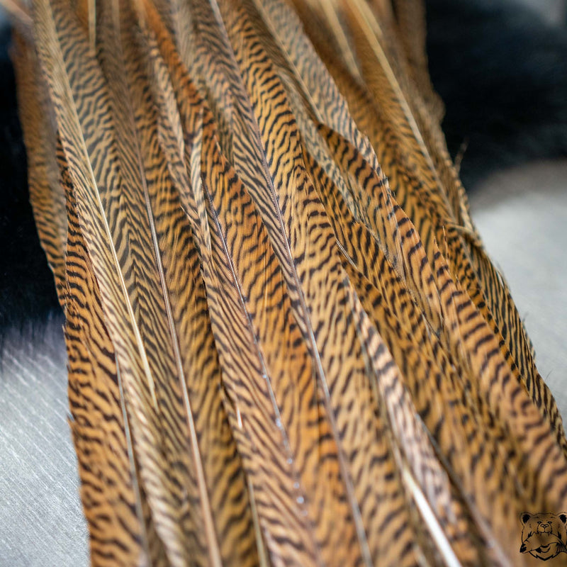 Load image into Gallery viewer, Shor - Golden Pheasant Tail Feather - 24&quot;
