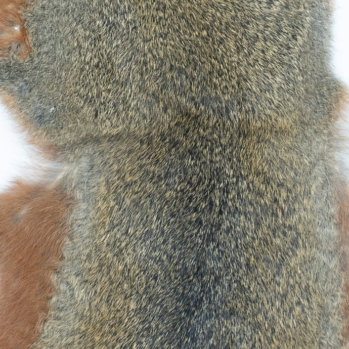 Shor - Pine Squirrel Skin