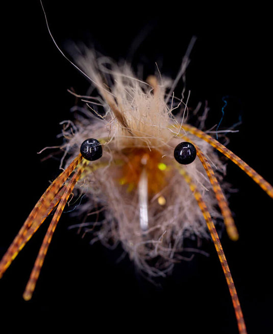 Loon - Colored UV Fly Finish