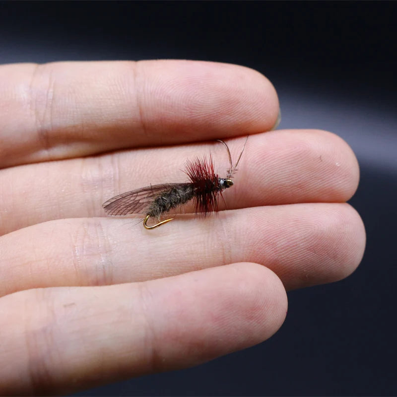 Load image into Gallery viewer, Pre Cut Realistic Adult Stonefly Wings
