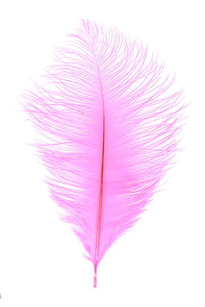 Load image into Gallery viewer, MFC - Ostrich Plumes
