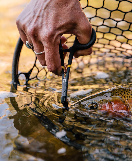 Loon - Rogue Hook Removal Forceps