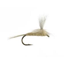 Light Cahill Parachute - Hook Size #14