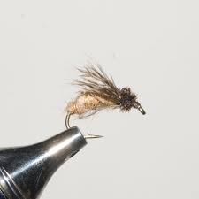 Caddis Pupa - TAN - Hook Size #14