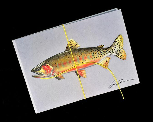 RepYourWater- Fine Art Greeting Cards - Rocky Mountain Fly Shop